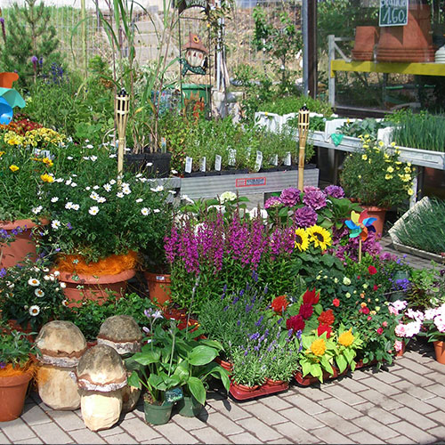 Gartenmarkt vom Landhandel Herwig aus Zittau