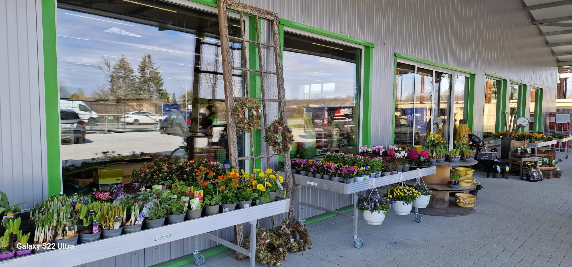 Pflanzen vor dem Görlitzer Landmarkt