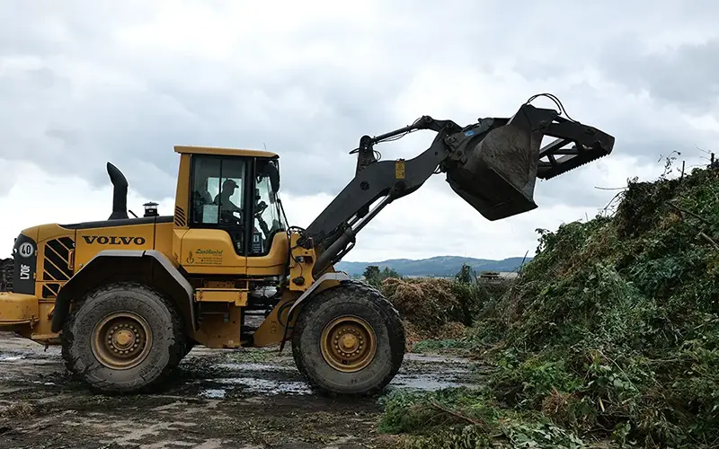 1. Annahme von Grünabfall